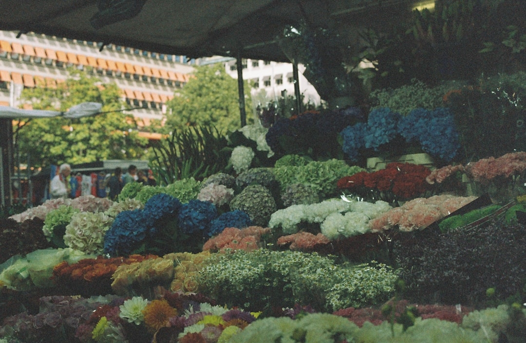 How Much Do Whole Foods Flowers Cost? A Real-World Price Guide