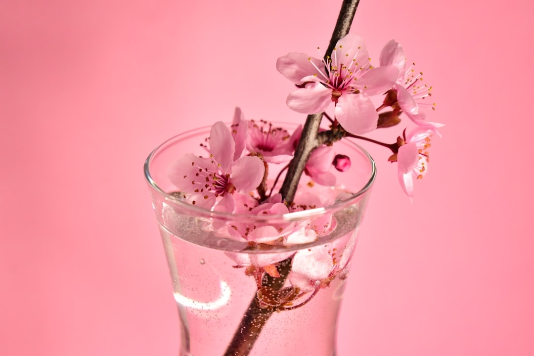 Can You Put Vodka in Flower Water to Make Flowers Last Longer?