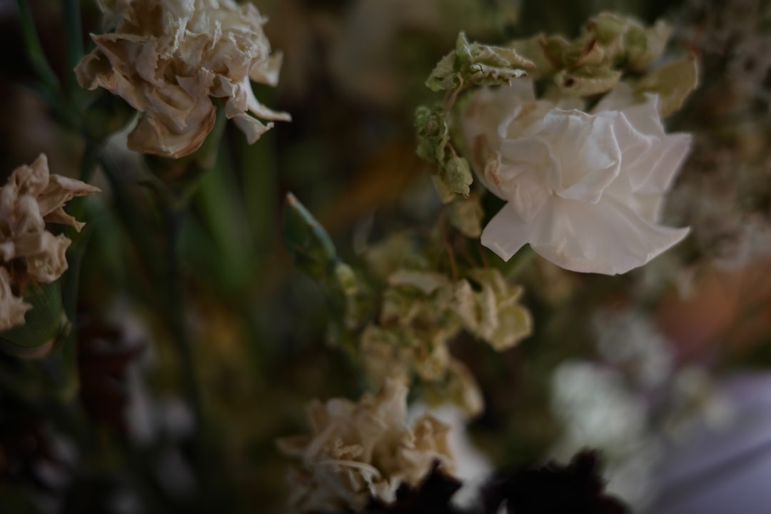 Can You Use Bleach to Keep Flowers Fresh? Here’s What Actually Works
