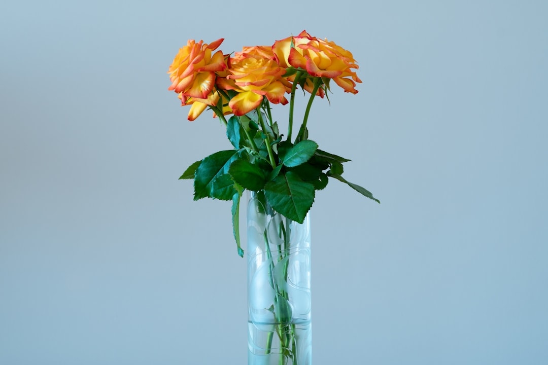 What to Do With Flower Vase Water: Disposal, Reuse, and Everything Between