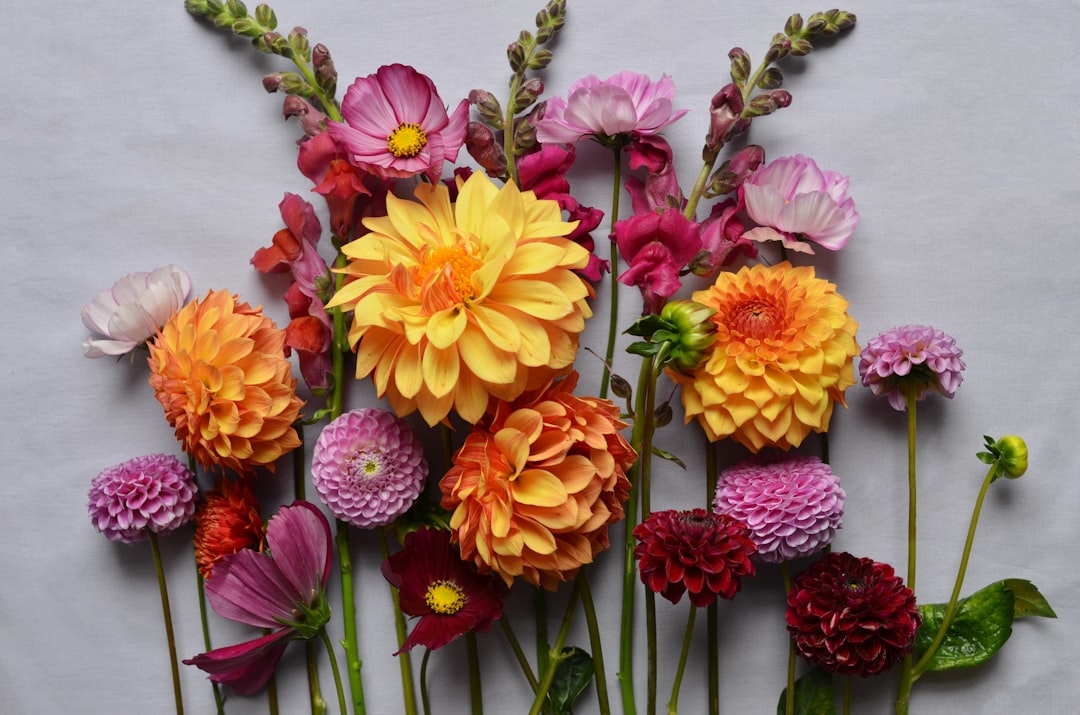 How to Make Flowers Last Two Weeks: A Complete Beginner’s Guide