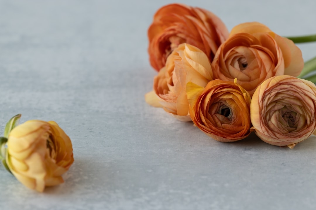 How Much Do Ranunculus Cost Per Bunch?